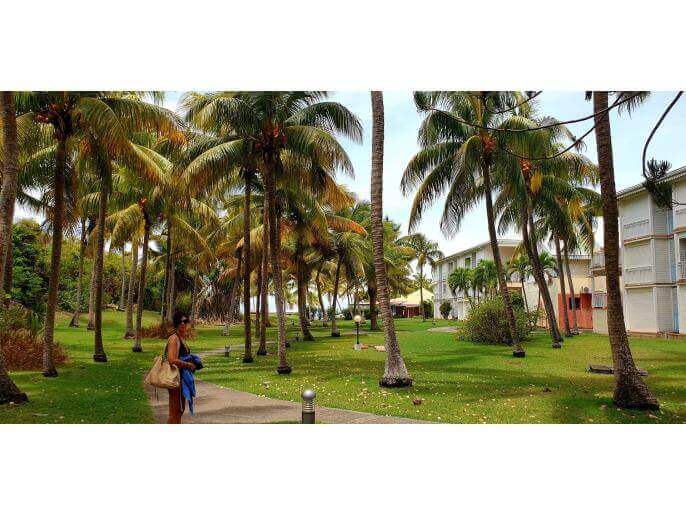 Location VillaAppartement en Guadeloupe - parc arbor de la rsidence