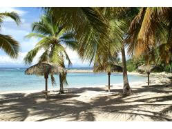 location Maison Villa Guadeloupe - plage