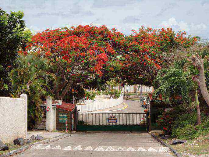 Location VillaAppartement en Guadeloupe - Portail d'entre de la rsidence