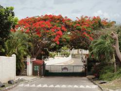 location Maison Villa Guadeloupe - Portail d'entre de la rsidence