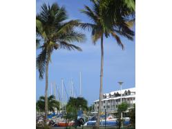 location Maison Villa Guadeloupe - La Marina depuis la Rsidence