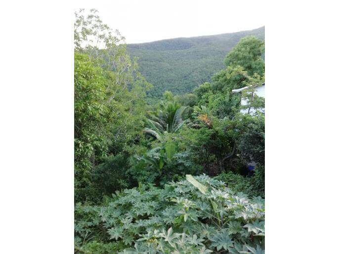 Location VillaMaison en Guadeloupe - Le paysage 
